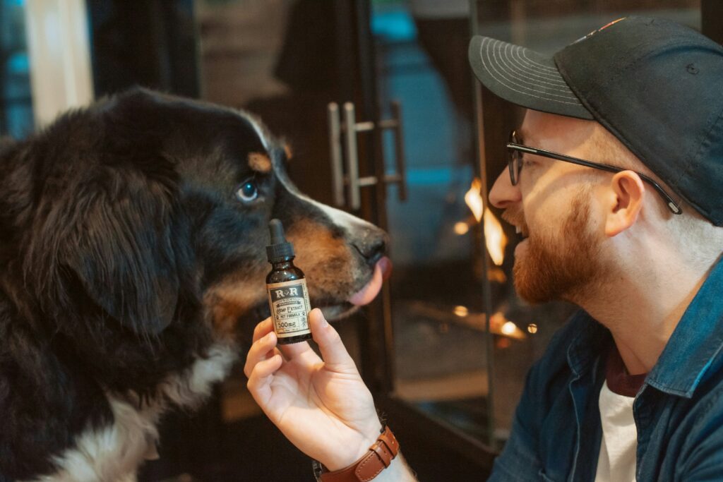 CBD Oil for Pets